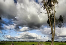 江南体育官网：[德甲]第19轮：多特蒙德VS不来梅.