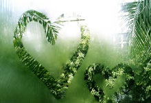 江南体育官网:体坛名场面|当年全红婵发生重大失误后,所有人都认为她垫底,接下来给所有人上了一课.